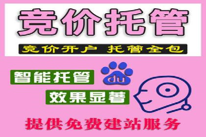 SEM代运营案例分析：精准投放策略解析