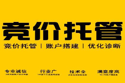 SEO与百度推广结合的营销策略——经典案例解析